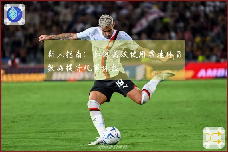 新人指南：如何高效使用雷速体育数据提升观赛体验